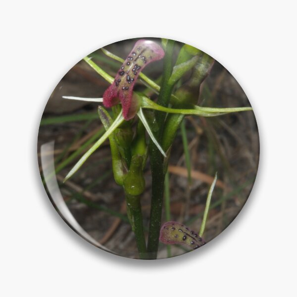 Item preview, Pair Of Tongue Orchids designed and sold by GP1746.