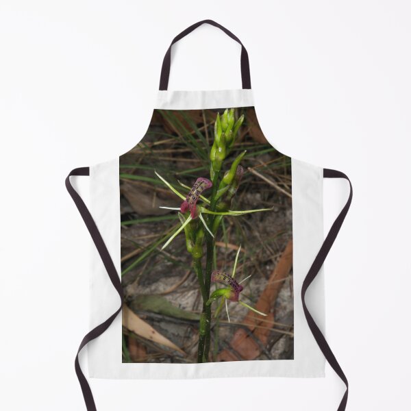 Item preview, Pair Of Tongue Orchids designed and sold by GP1746.