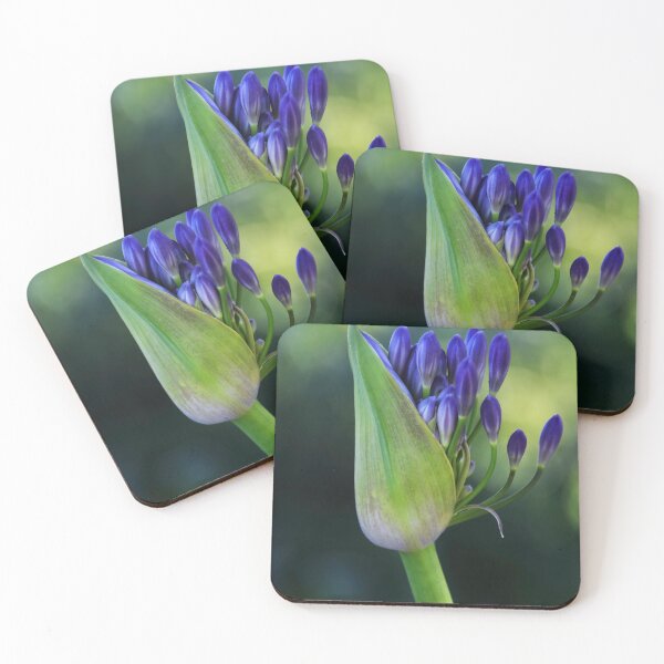 Item preview, Agapanthus. designed and sold by John Ray.