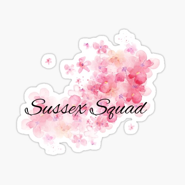 Artikel-Vorschau von Sussex Squad, designt und verkauft von helyx79.