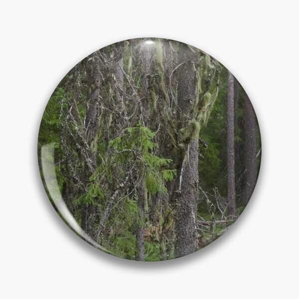Item preview, Too old to live too young to die. European spruce designed and sold by Jouko Lehto Photography.