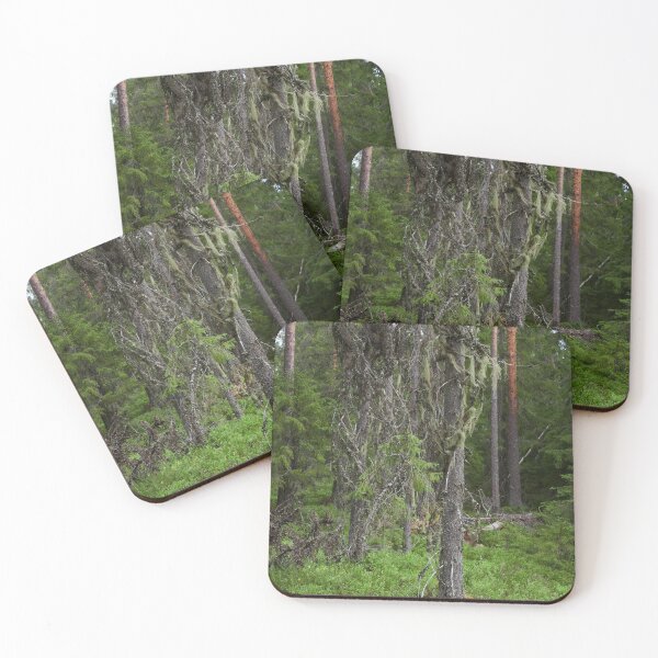 Item preview, Too old to live too young to die. European spruce designed and sold by Jouko Lehto Photography.