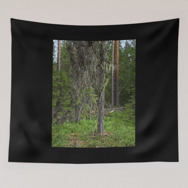 Item preview, Too old to live too young to die. European spruce designed and sold by Jouko Lehto Photography.