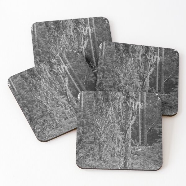 Item preview, Too old to live too young to die. European spruce bw designed and sold by Jouko Lehto Photography.