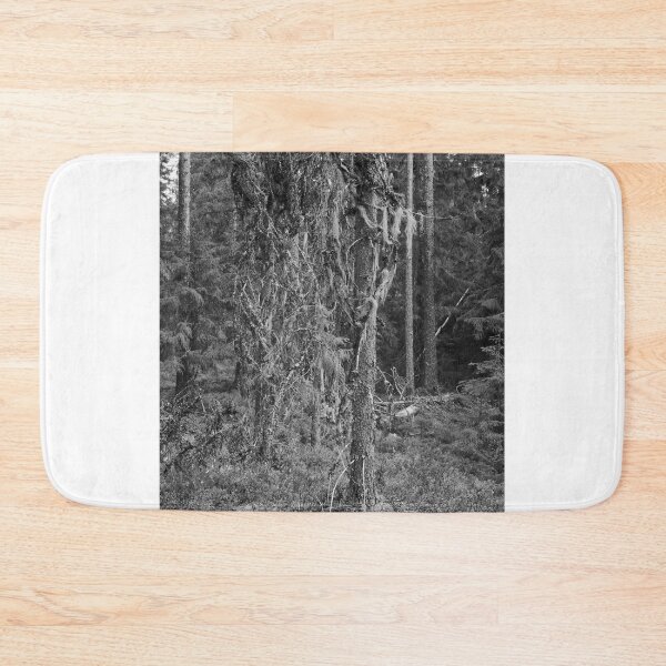 Item preview, Too old to live too young to die. European spruce bw designed and sold by Jouko Lehto Photography.