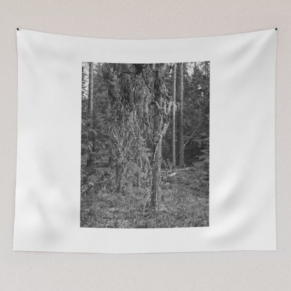 Item preview, Too old to live too young to die. European spruce bw designed and sold by Jouko Lehto Photography.