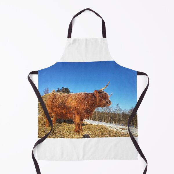 Item preview, Scottish Highland Cattle Cow 1693 designed and sold by SaarelaHighland.