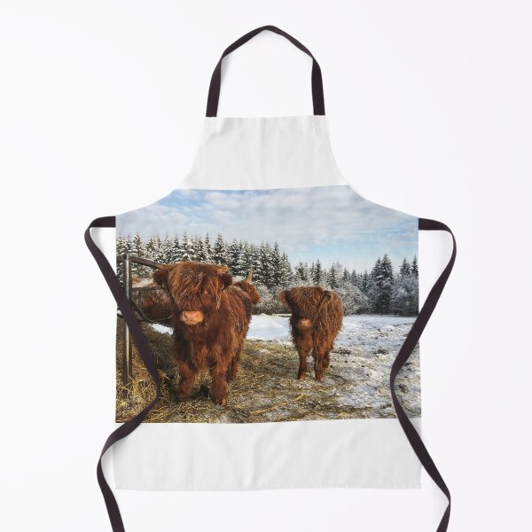 Item preview, Scottish Highland Cattle Calves 1664 designed and sold by SaarelaHighland.