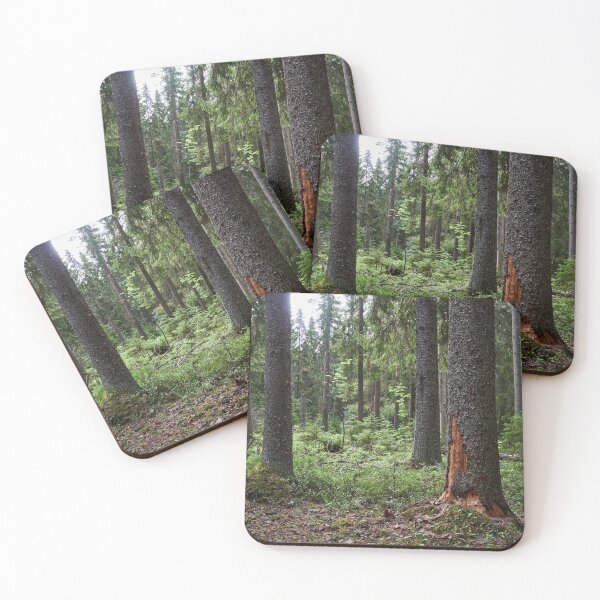 Item preview, Black woodpeckers forest designed and sold by Jouko Lehto Photography.
