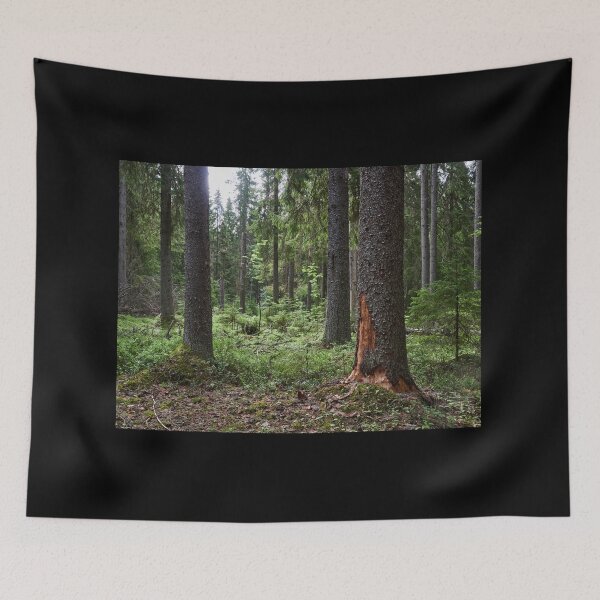 Item preview, Black woodpeckers forest designed and sold by Jouko Lehto Photography.
