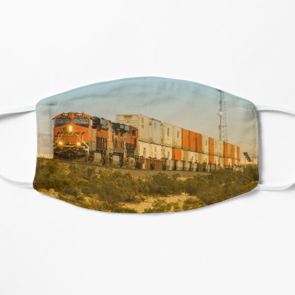 Double Deck Freight Flat Mask