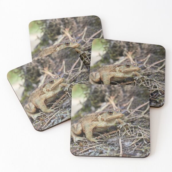 Item preview, Keeping the sour face. European toad designed and sold by Jouko Lehto Photography.