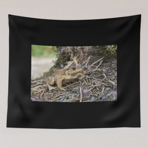 Item preview, Keeping the sour face. European toad designed and sold by Jouko Lehto Photography.