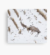 Dancing Crane Canvas Print