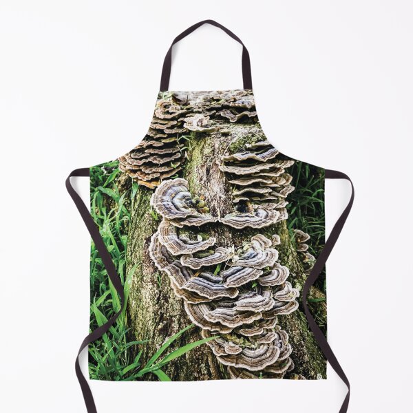Item preview, Mushroom Stump. designed and sold by Stus RoadTrips.