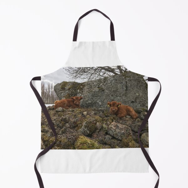 Item preview, Scottish Highland Cattle Calves 1743 designed and sold by SaarelaHighland.