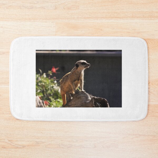 Item preview, Meerkat  on Duty at the Zoo designed and sold by Andyt.