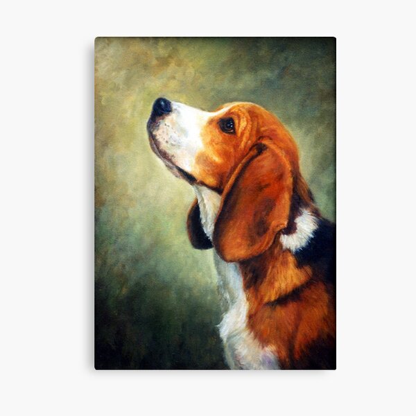 Beagle Dog Portrait Canvas Print