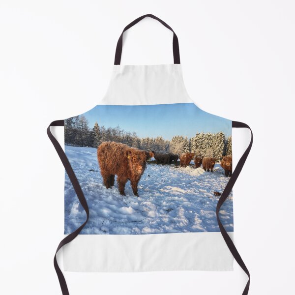 Item preview, Scottish Highland Cattle Calf 1651 designed and sold by SaarelaHighland.
