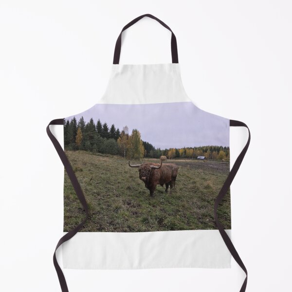 Item preview, Scottish Highland Cattle Bull 1557 designed and sold by SaarelaHighland.