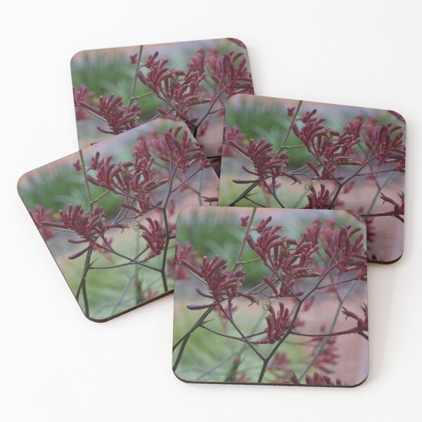 Item preview, Red Kangaroo Paw designed and sold by MarkSandhu.