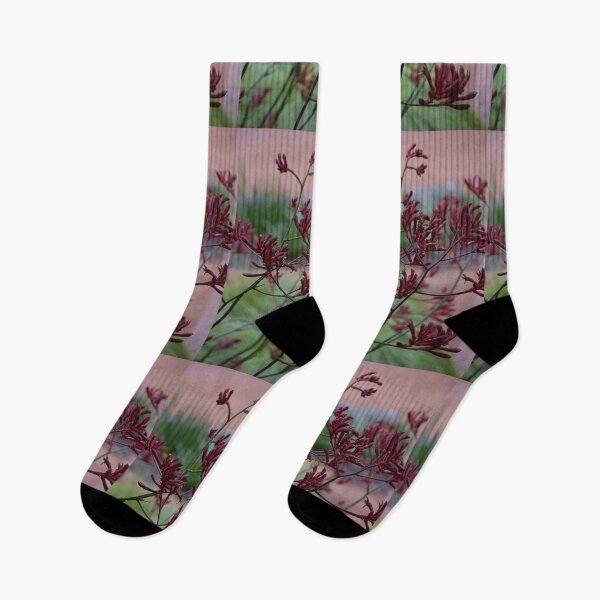 Item preview, Red Kangaroo Paw designed and sold by MarkSandhu.