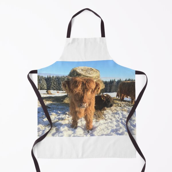 Item preview, Scottish Highland Cattle Calves 1340 designed and sold by SaarelaHighland.