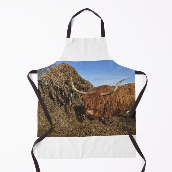 Item preview, Scottish Highland Cattle Cow 1086 designed and sold by SaarelaHighland.