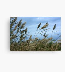 Brush Canvas Print