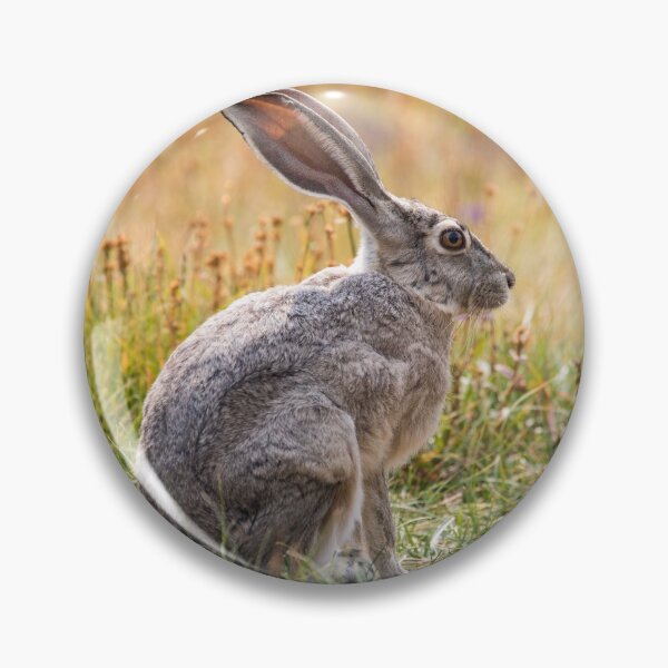 Item preview, Grey Hare designed and sold by LizzieMaher.