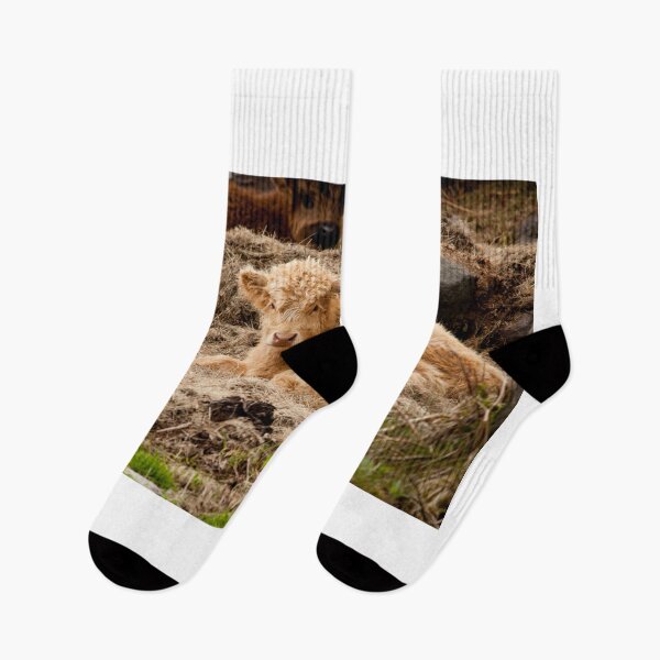 Item preview, Highland Calf designed and sold by LizzieMaher.