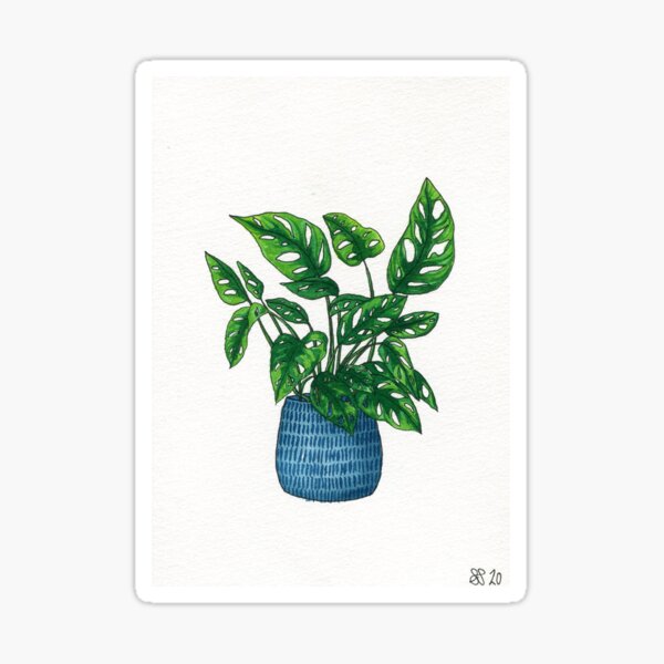 Swiss Cheese Plant Blue pot Sticker