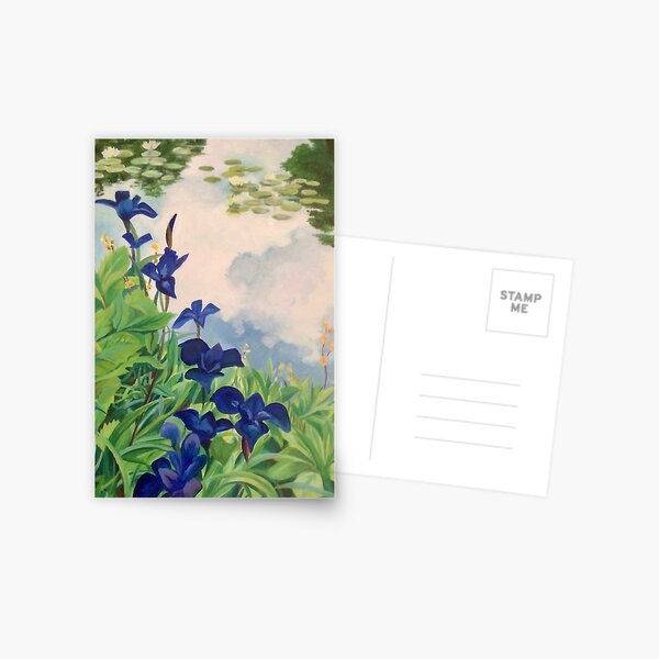 blue irises by the water Postcard