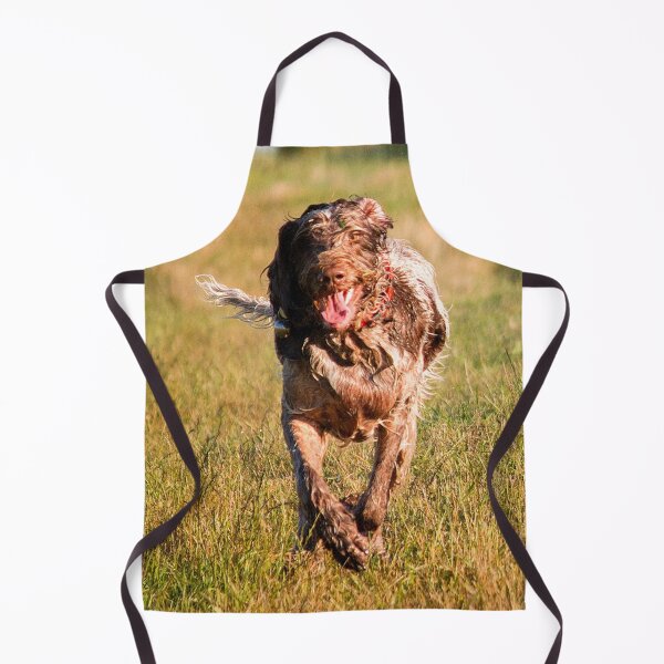 Item preview, Brown Roan Italian Spinone Dog in Action designed and sold by FOLK ART FUSION by heidiannemorris.
