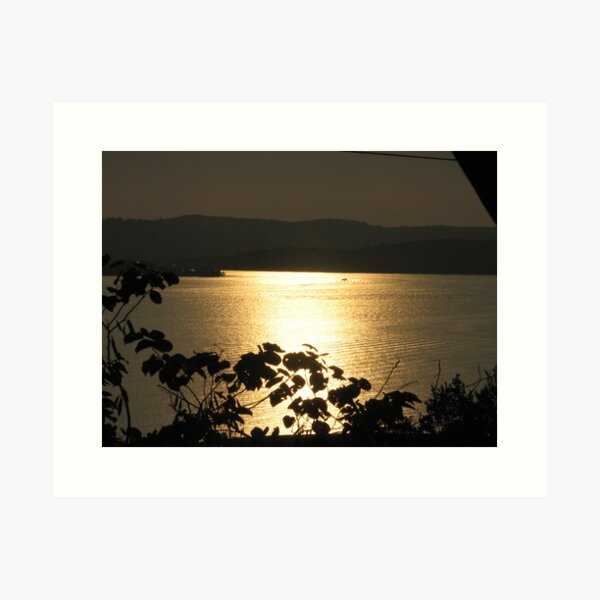 Sunset through the Trees Art Print
