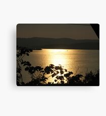 Sunset through the Trees Canvas Print