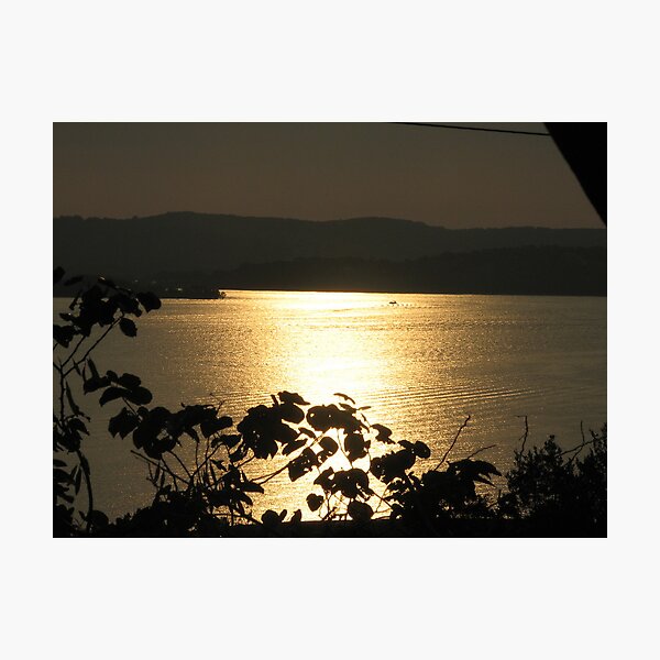 Sunset through the Trees Photographic Print