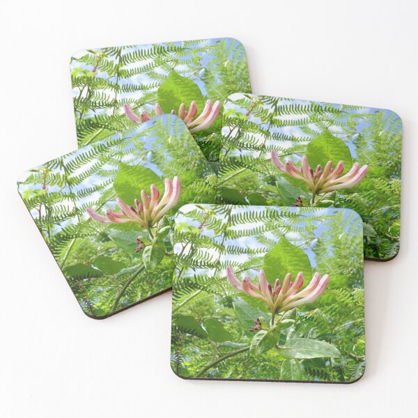 Item preview, Beautiful honeysuckle flower designed and sold by Jacqueline Le Sueur.