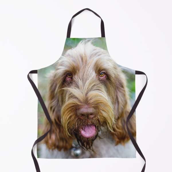 Item preview, Super cute Spinone designed and sold by FOLK ART FUSION by heidiannemorris.