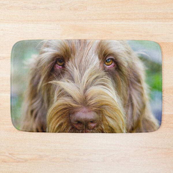 Item preview, Super cute Spinone designed and sold by FOLK ART FUSION by heidiannemorris.