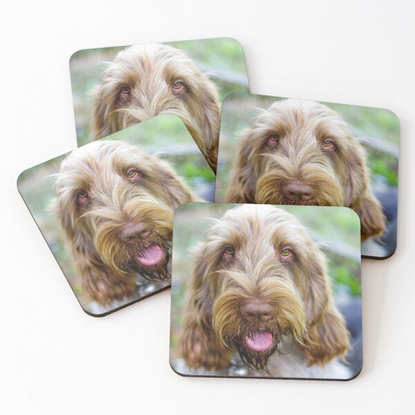 Item preview, Super cute Spinone designed and sold by FOLK ART FUSION by heidiannemorris.