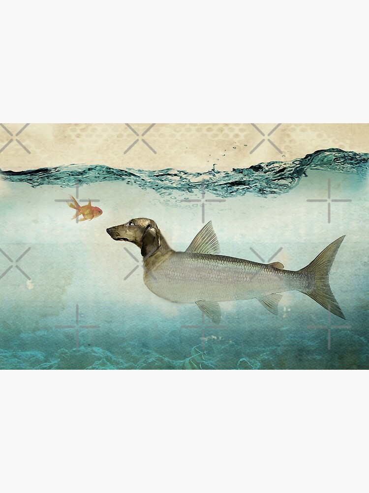 dog fish Poster for Sale by Vin Zzep