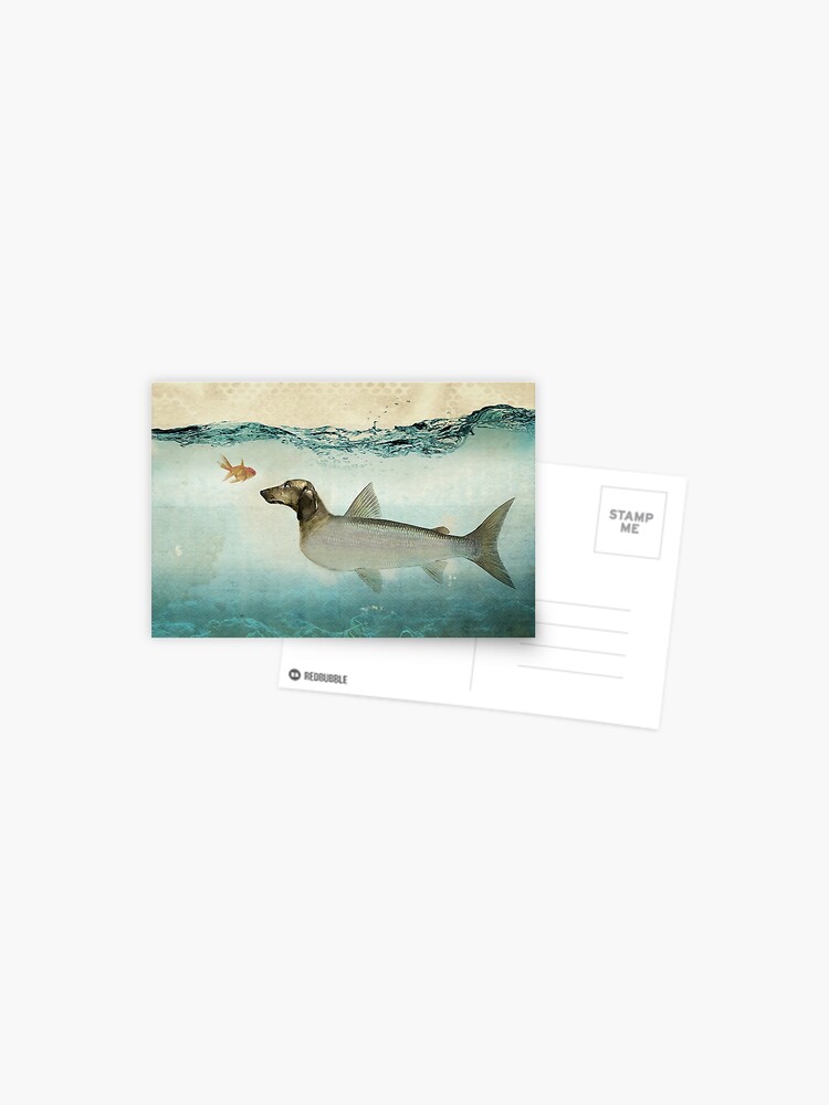 dog fish | Postcard