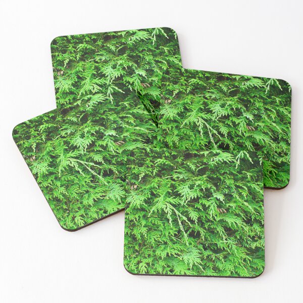 Item preview, Hedge Texture designed and sold by MarkUK97.