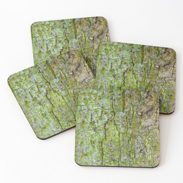 Item preview, Tree Bark Texture designed and sold by MarkUK97.