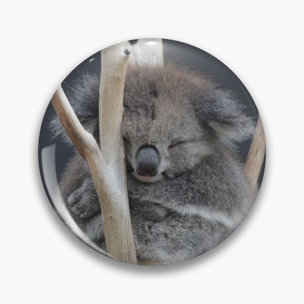 Aperçu de l'œuvre L'heure du coucher pour le jeune koala créée et vendue par Wendy Skala.