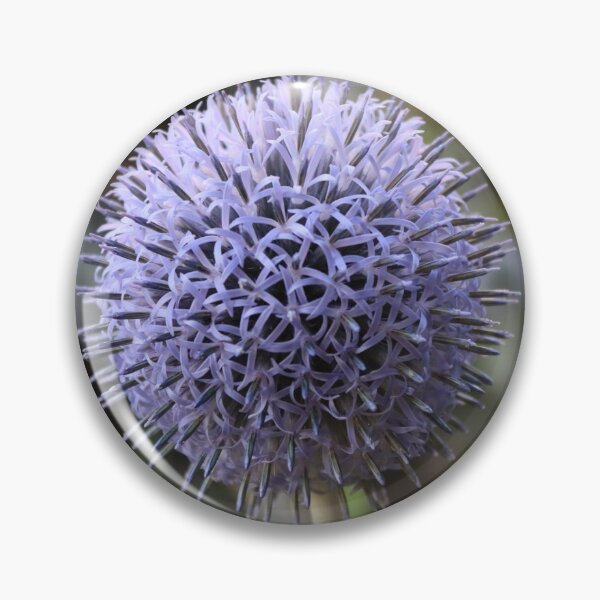 Item preview, Great Globe Thistle designed and sold by JW-Fotographs.