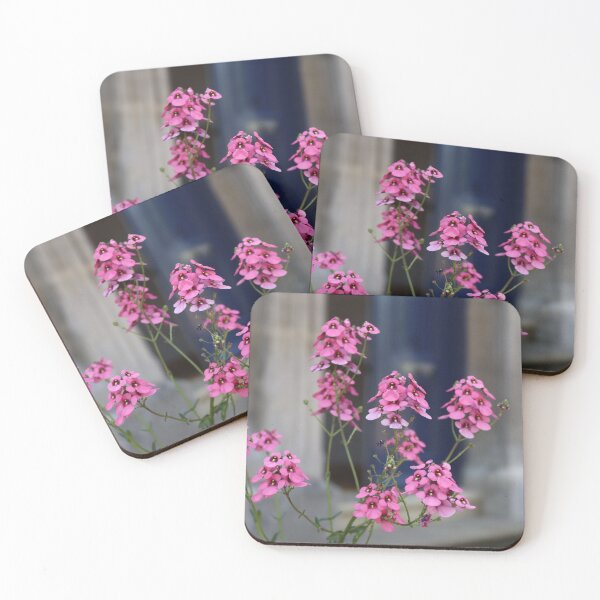 Item preview, Pink Globe Candytufts designed and sold by JW-Fotographs.