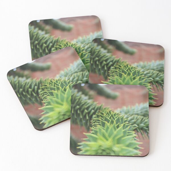 Item preview, Teignmouth Monkey Puzzle Tree designed and sold by JW-Fotographs.