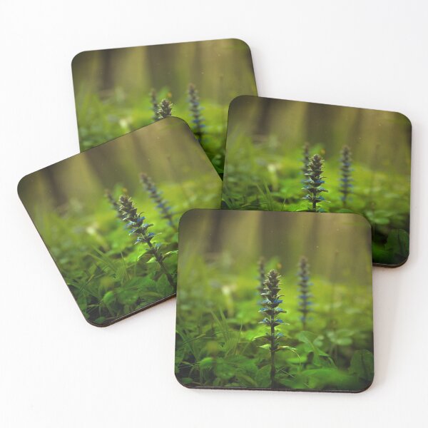 zielone rośliny w lesie Coasters (Set of 4)